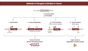Image result for Oncogene