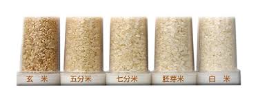 お米の話