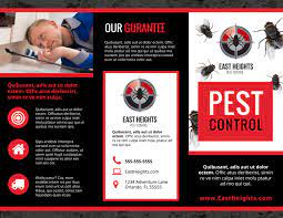 Find pest control companies anywhere. Pest Control Brochure Template Mycreativeshop