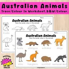 This Worksheet Gives Your Students A Chance To Practice Their Writing Whilst Learning About Australi Australian Animals Cute Australian Animals Animal Writing