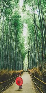 Check spelling or type a new query. Jawaban Arashiyama 10 Halaman Sekolah