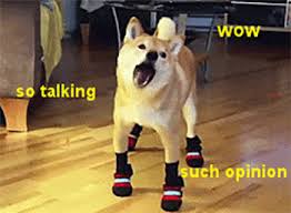 Search, discover and share your favorite dogecoin gifs. At Least One Of Your Grandparents Had A Lot To Say About The Old Country Doge Meme Doge Dog Memes