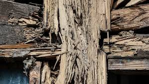 We have many years of experience dealing with termites and pest control. Jmoy2dgrapqvzm