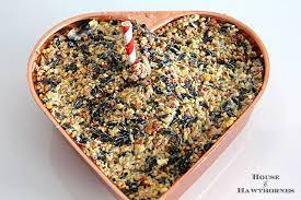 No more buying bird seed cylinders to fill your hanging feeders! Diy Birdseed Suet Cakes House Of Hawthornes