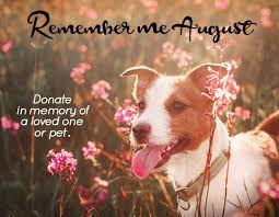We did not find results for: Remember Me August Donate In Memory Of A Loved One Animal Defense League Of Texas San Antonio Animal Defense League Of Texas San Antonio