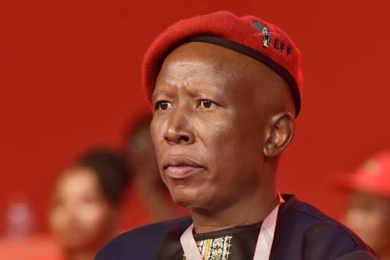 Malema offers Mkhwanazi position in the EFF