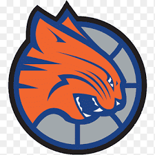 The 1961 nba expansion draft was the inaugural expansion draft of the national basketball washington wizards.2 in an nba expansion draft, new nba teams are allowed to acquire players. Charlotte Hornets 2004 Nba Expansion Draft 2011 12 Charlotte Bobcats Season Charlotte Sting Nba Orange Logo Png Pngegg
