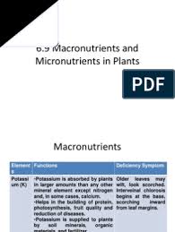 They are grouped based on their relative abundance in plants. 6 9 Macronutrients And Micronutrients In Plants Nutrients Fertilizer