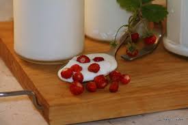 Joghurt Selber Machen Mit Dem Dorrgerat Sabo Tage Buch Rezept Joghurt Selber Machen Joghurt Lebensmittel Essen