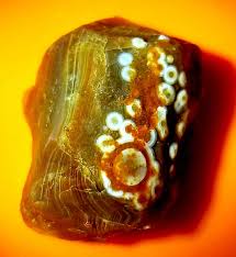 Image result for Agate Red Brown 1956 Wayne Works