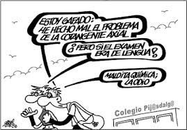 Resultado de imagen de EXAMEN DE LENGUA