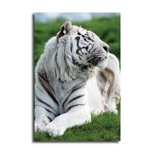 Cari produk lukisan lainnya di tokopedia. Lukisan 3d Gambar Harimau 3d Poster Macan Gambar Macan Putih Gambar Harimau Foto Macan Putih Gambar Dinding Kamar Macan Hiasan Dinding Harimau Macan Putih 3d