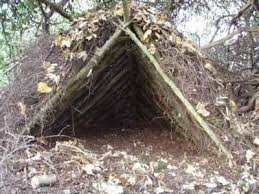 Wilderness Survival Survival Shelter Wilderness Survival Shelter Wilderness Survival Skills