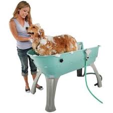 Lisa has been in grooming for over 10 years, and worked in the very shop she now owns. Overstock Com Online Shopping Bedding Furniture Electronics Jewelry Clothing More Dog Washing Station Dog Wash Dog Bath