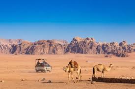 It has nostrils that can open and close. What You Should Know Before You Go On A Camel Ride Tour Bedouin Campsite Tours