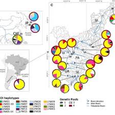 Maybe you would like to learn more about one of these? Actual Distribution Of Limnoperna Fortunei In South America Including Download Scientific Diagram