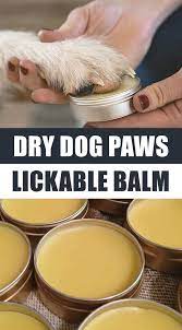 Diy Dog Paw Balm Soothing Recipe Dog Paw Balm Dog Paws Paw Balm