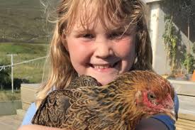 Rosie donates egg sales cash to buy generators for Ukraine hospitals