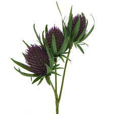 Thistle Flower Head Pick Hobby Lobby 1564277 In 2021 Thistle Flower Flowers Globe Flower
