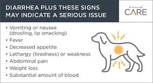 Pin On Dog Health