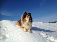 In der dorfstraße ist es sehr zentral gelegen und bis zum absoluten dorfmittelpunkt (bushaltestelle, rathaus, einkaufsmöglichkeiten, eisdiele, minigolfplatz, etc.) sind es nur ca. Alpenhaus Julia Ferienwohnungen In Reit Im Winkl In Bayern