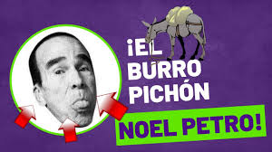 𝑬𝑳 𝑩𝑼𝑹𝑹𝑶 𝑷𝑰𝑪𝑯𝑶́𝑵- 𝑵𝑶𝑬𝑳 𝑷𝑬𝑻𝑹𝑶 𝒀 𝑺𝑼 𝑹𝑬𝑸𝑼𝑰𝑵𝑻𝑶  𝑬𝑳𝑬́𝑪𝑻𝑹𝑰𝑪𝑶- 📢📢Conozcamos lo Nuestro