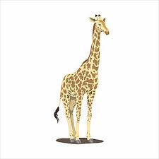 imagens girafa png e vetor com fundo transparente para download gratis pngtree endangered animals animals giraffe