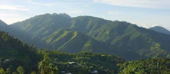 Jamaica definitely isn't just for beach vacations. Strawberry Hill Hotel Things To Do Near Our Blue Mountain Resort Kingston Jamaica