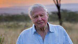 Narrated by the one and only sir david attenborough.thanks for watching please like, share, commen. David Attenborough New Year Message 2021 Crucial In Climate Crisis Deadline