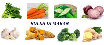 Demikian, makanan manusia yang boleh dan tidak boleh. Sayur Yang Boleh Di Makan Ketika Di Dalam Pantang