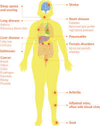 Human body, the physical substance of the human organism, composed of living cells and although there are some 200 different types of cells in the body, these can be grouped into four basic of course, the heart does not function in isolation; Medical Complications Of Obesity Vitalsigns Cdc