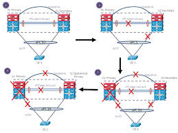 Vpc Auto Recovery Feature In Nexus 7000 Cisco Community