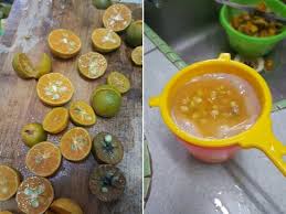 Hal hal yang perlu diketahui sebelum menanam bunga teratai water lily nympheae. Petua Elak Kucing Berak Kencing Merata Tempat Tinggalkan Bau Busuk