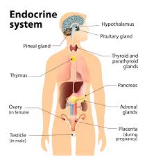 Reproductive hormone disorders