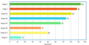 The tumor is less than 20 mm (2 cm) in size and there is no spread to lymph nodes. Five Year Survival Rate For Breast Cancer By Stage 2 Download Scientific Diagram