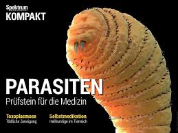 Parasiten sind lebewesen, die auf kosten ihres wirtes überleben. Parasitismus 10 Parasiten Die Tiere Zu Zombies Machen Spektrum Der Wissenschaft