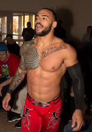 This wiki is dedicated to hige wo soru. Ricochet Catch Wikipedia
