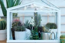 Mini Serre Da Balcone Piante Di Casa Piccola Serra Ikea