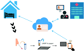 Multimedia quran study software for free. Point Of Care Testing Detection Methods For Covid 19 Lab On A Chip Rsc Publishing