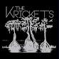 The Krickets: Pensacola Unplugged event image