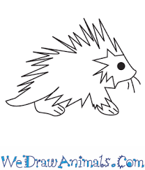 Draw an inverted triangle with rounded corners. How To Draw A Porcupine