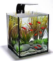 Here are a few breathtaking ideas to inspire you! Pin By Sieglinde Bieramperl On Aquarium Aquarium Design Aquarium Fish Small Fish Tanks