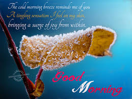 The Cold Morning Breeze Reminds Me Of You Good Morning Pictures Wishgoodmorning Com Use them in commercial designs under lifetime, perpetual & worldwide rights. the cold morning breeze reminds me of