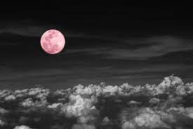 ➤ on l'appelle lune des fleurs car le mois de mai est le moment. Eqahce639bap1m