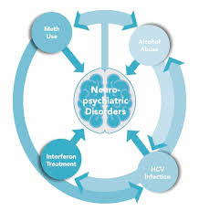 Image result for Addiction Pathophysiology