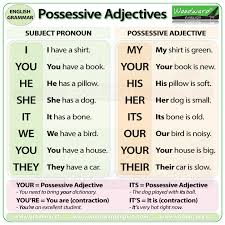 possessive adjectives in english grammar