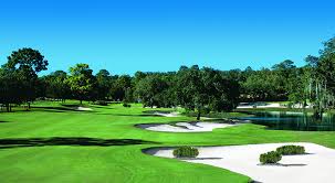Details about black diamond ranch. Lecanto Florida Golf Course Black Diamond Ranch