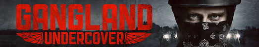 Gangland Undercover  / EN / 2015