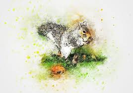 Find restaurant reviews, menu, prices, and opening hours for comer con arte on thefork. Ardilla Animales Comer Imagen Gratis En Pixabay