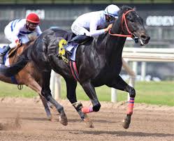 Yupanqui, en doblete del Rancho Fátima que remata el 27 de este mes